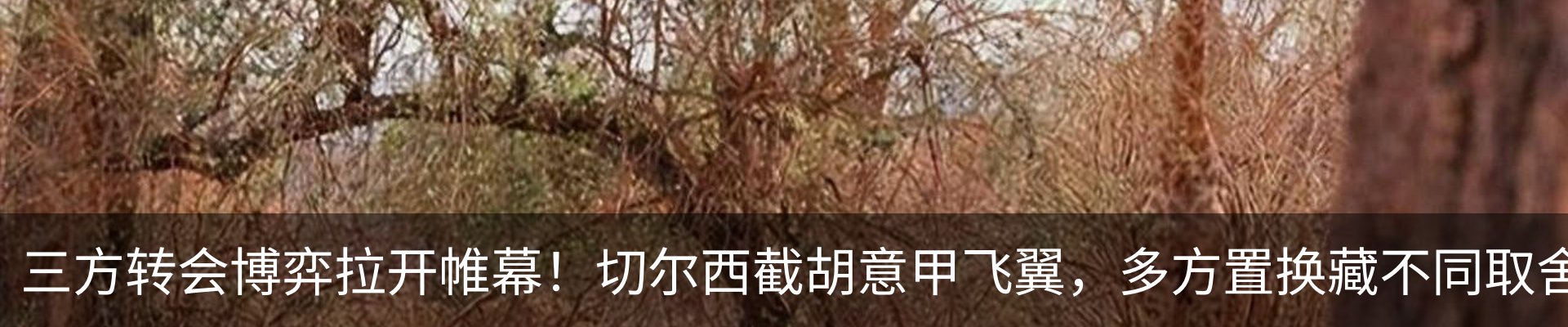 新闻中心
