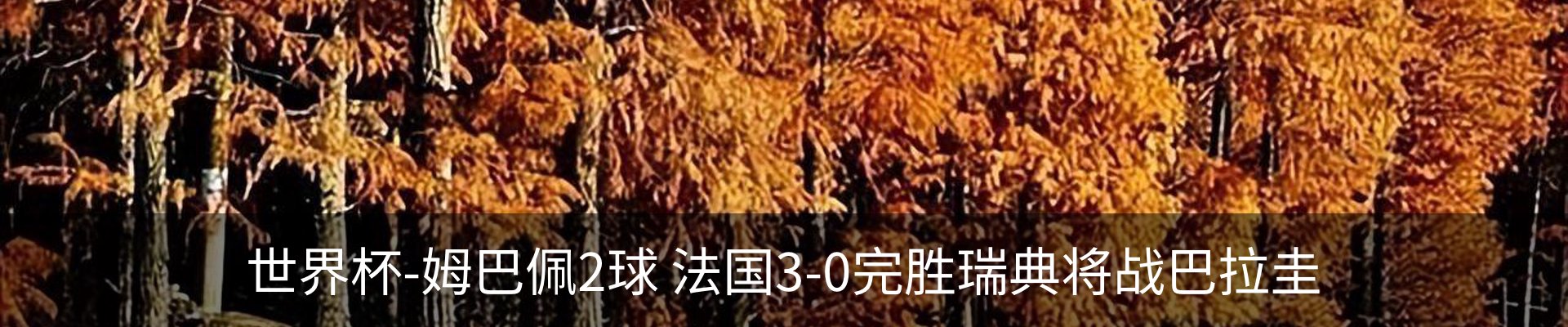 新闻中心