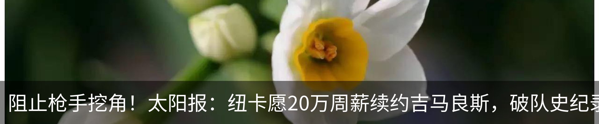 新闻中心